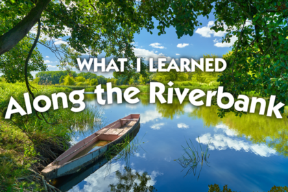 riverbank