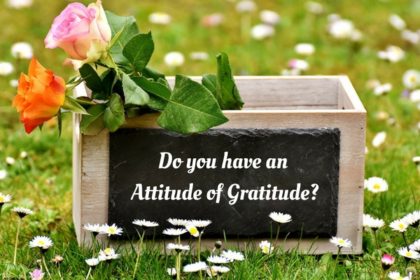 what is gratitude