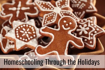take a break from homeschool