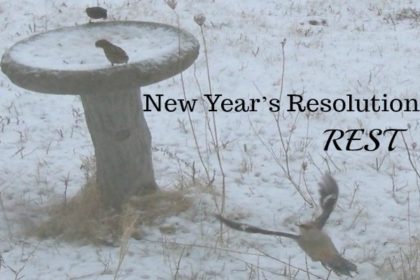 winter burn-out