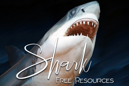 free shark