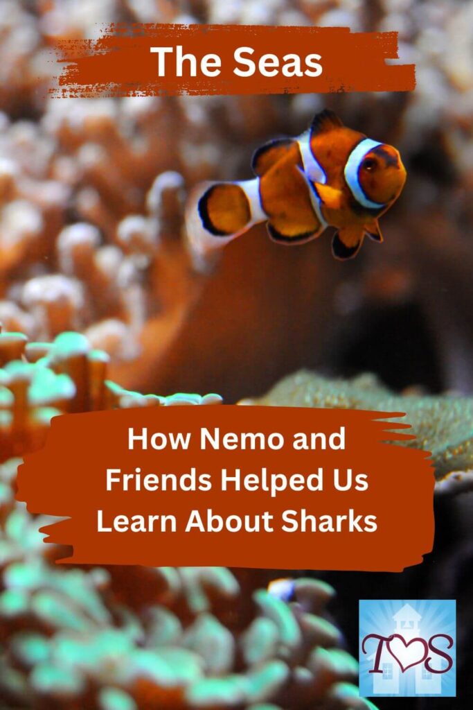 The Seas: How Nemo and Friends Helped Us Learn About Sharks