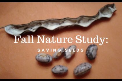 saving seeds