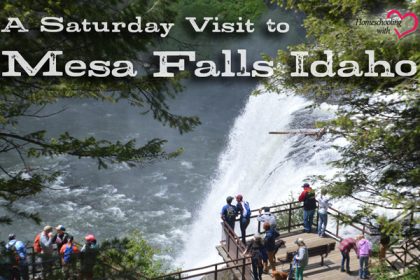 mesa falls