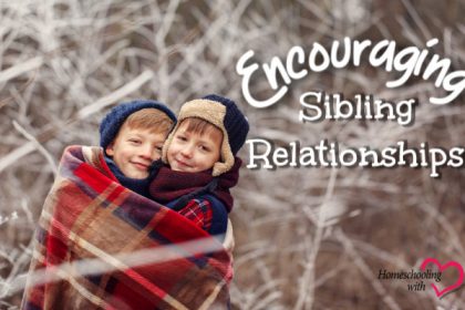 sibling relationships
