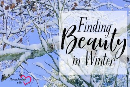 beauty in winter