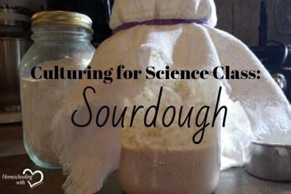 sourdough