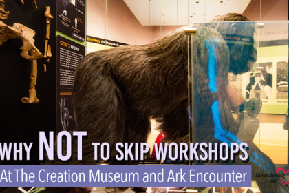 workshops