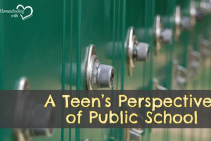 public school