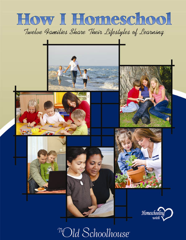 How I Homeschool: Twelve Families Share Their Lifestyle