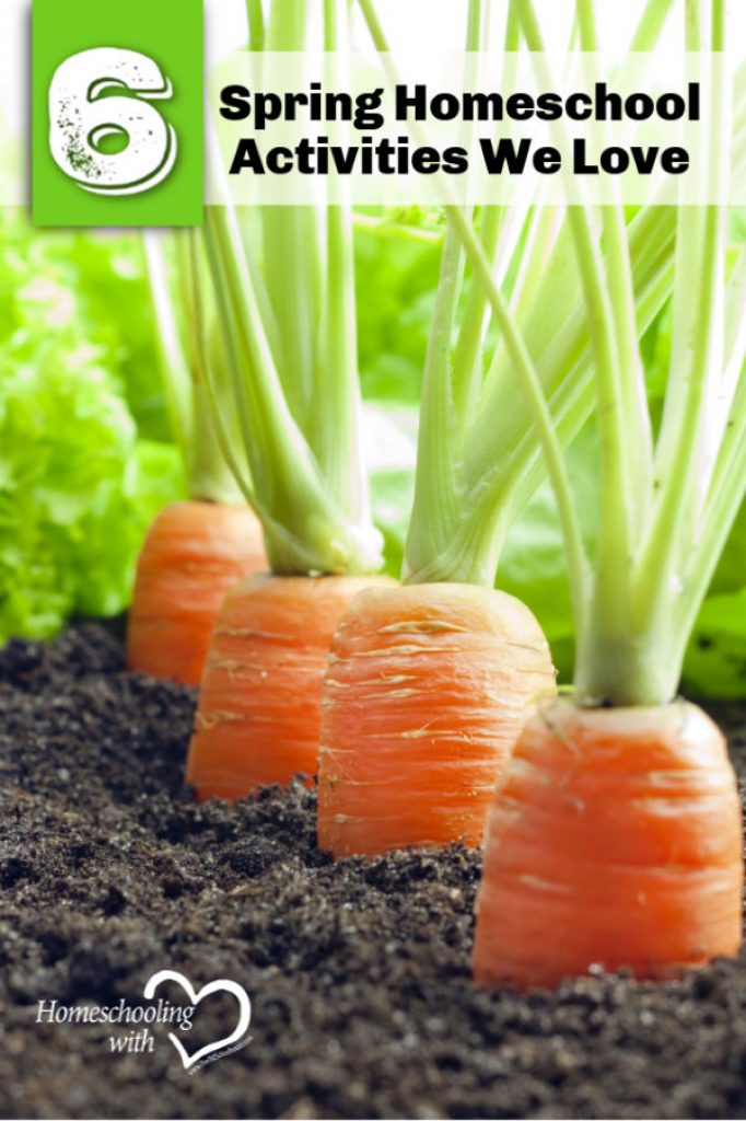 6 Spring Homeschool Activities We Love