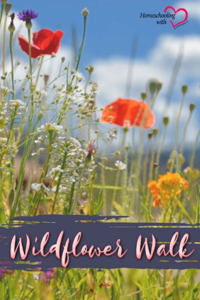 Wildflower Walk