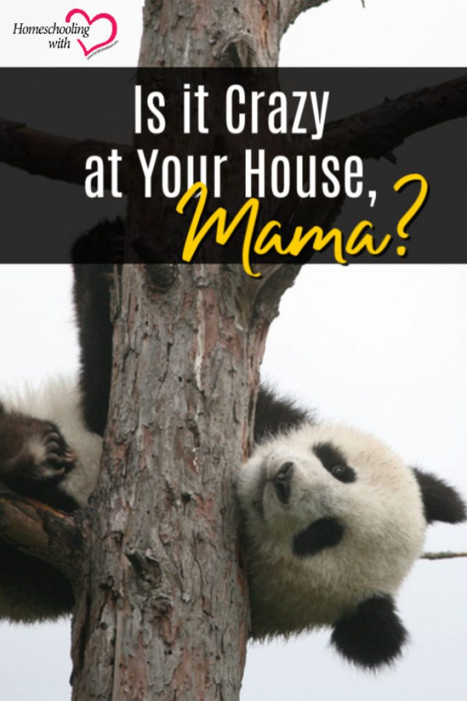hey mama