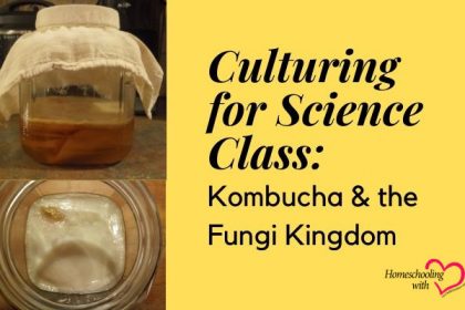 Kombucha