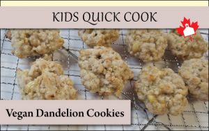 dandelion benefits