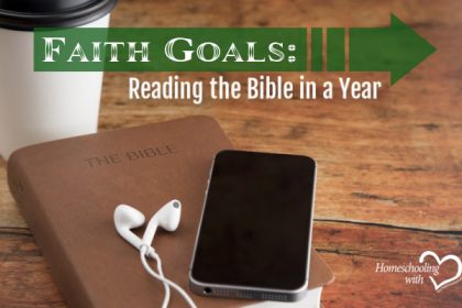 reading the bible in a year