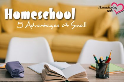 advantages of homeschool