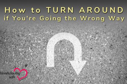 wrong way