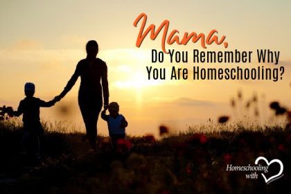 why homeschool