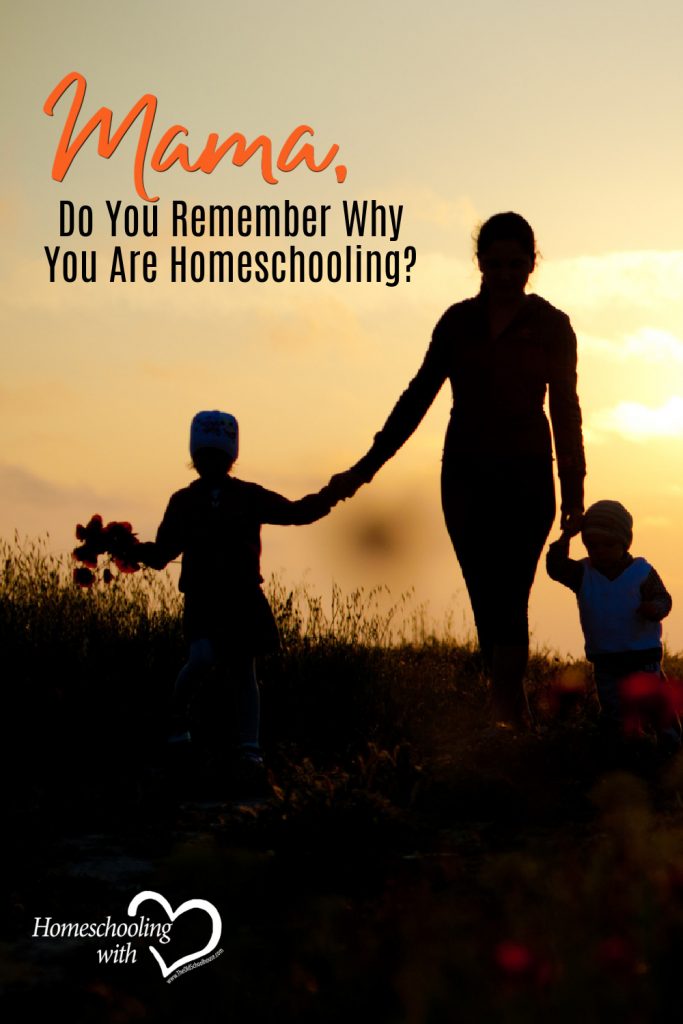 why homeschool