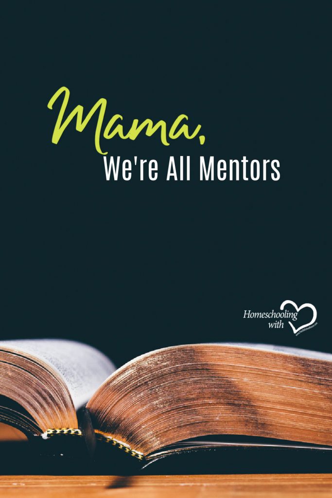 homeschool mentor