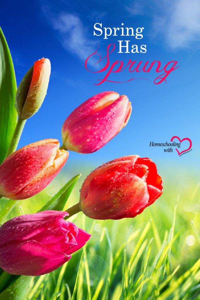 homeschool learning outdoors