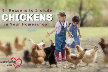 chickens in homeschool