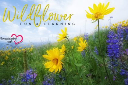 wildflower week