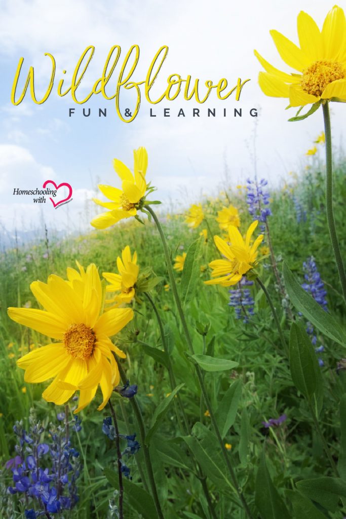 wildflower week
