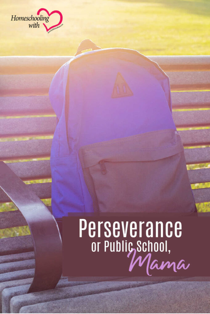 Hey Mama Monday: Perseverance or Public School, Mama