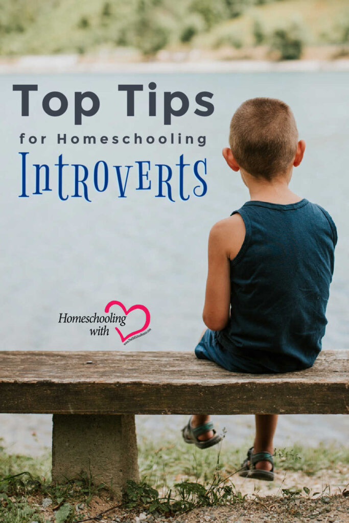 Top Tips for Homeschooling Introverts