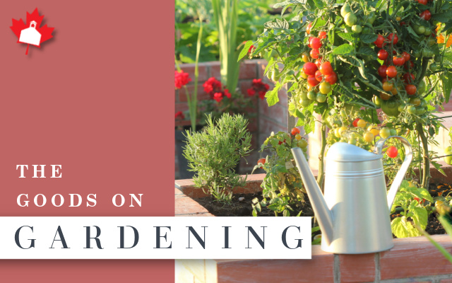 Raised Bed Gardening Ideas