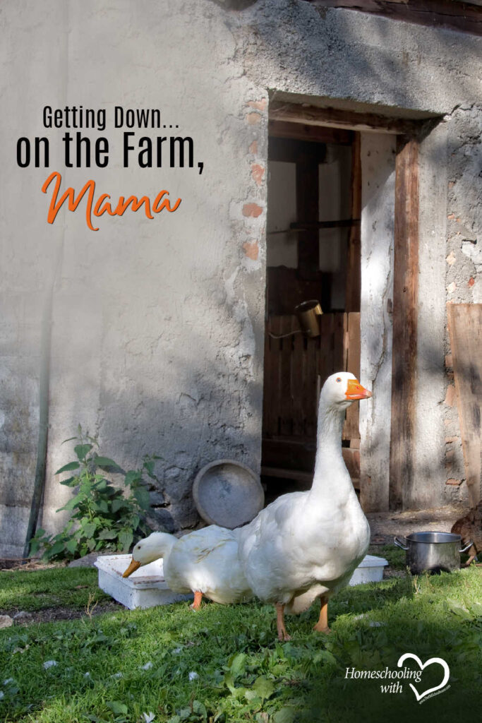 Getting Down…on the Farm, Mama