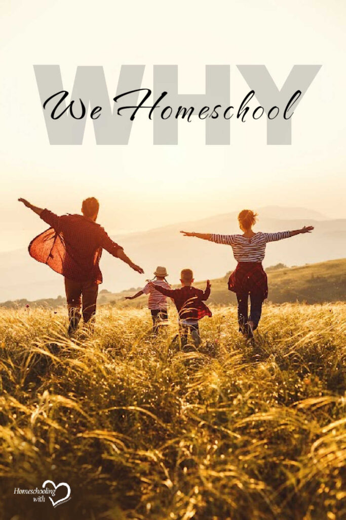 Why We Homeschool