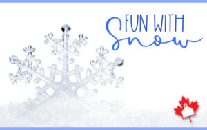 beautiful snowflake "fun with snow"