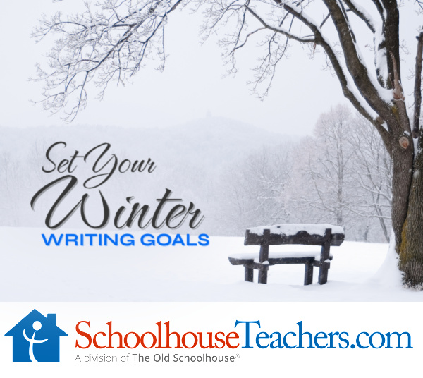 Set Your Winter Writing Goals, with a snow-covered park bench and field in the background