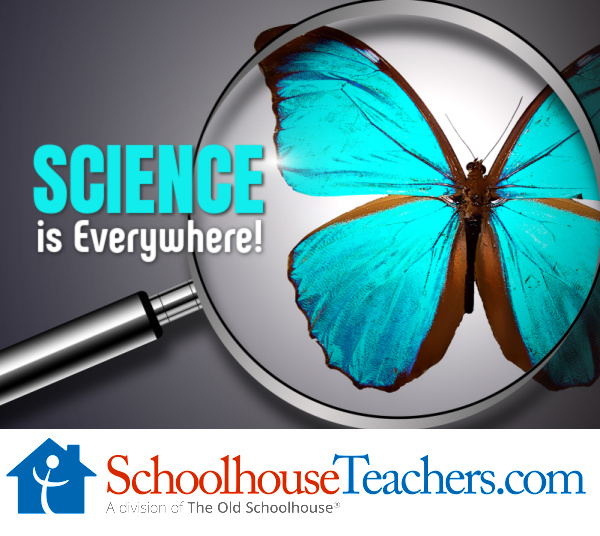 science is everywhere, a magnifying glass and a blue butterfly