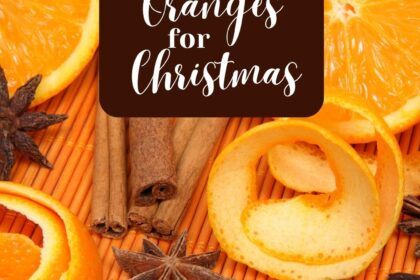 Episode 48: Oranges for Christmas