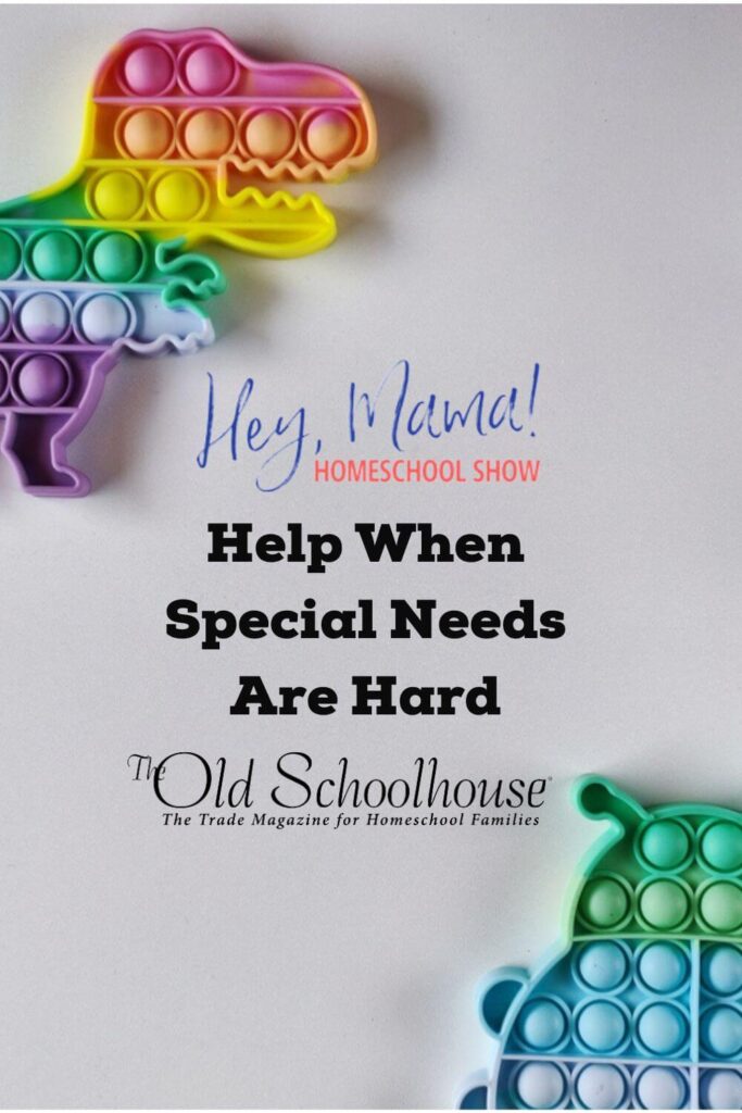 Episode 15: Help When Special Needs Are Hard