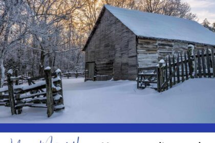 Episode 51: Homesteading and Self-Sufficiency