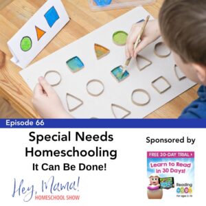 Episode 66: Special Needs Homeschooling: It Can Be Done!